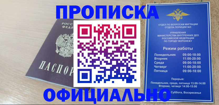 прописка в квартире в Звенигово